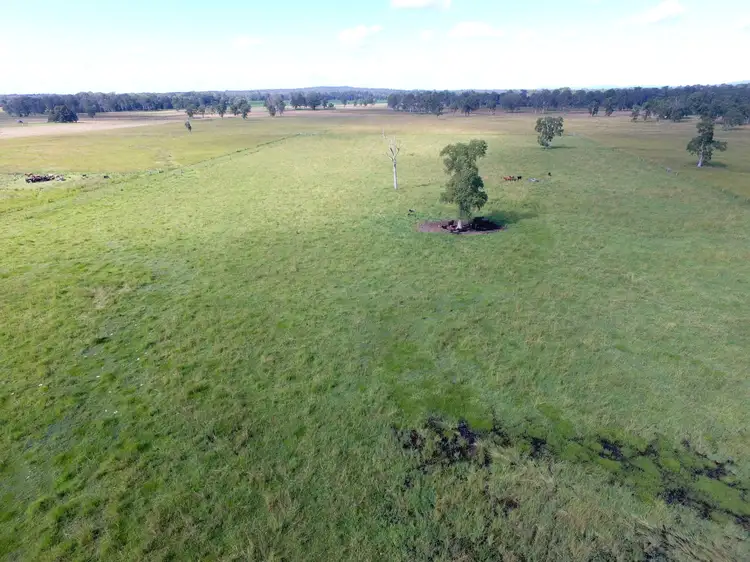 Second view of Homely rural property listing, 81 Hogarth Range Road, Mongogarie NSW 2470