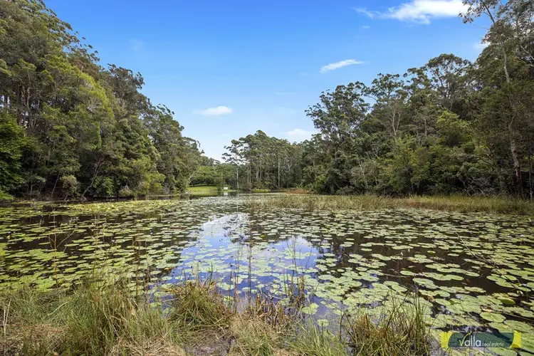 Second view of Homely rural property listing, 23 Avocado Road, Valla NSW 2448