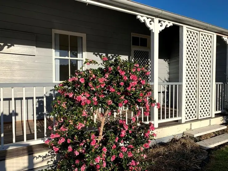 1 Lane Street, Stanthorpe QLD 4380