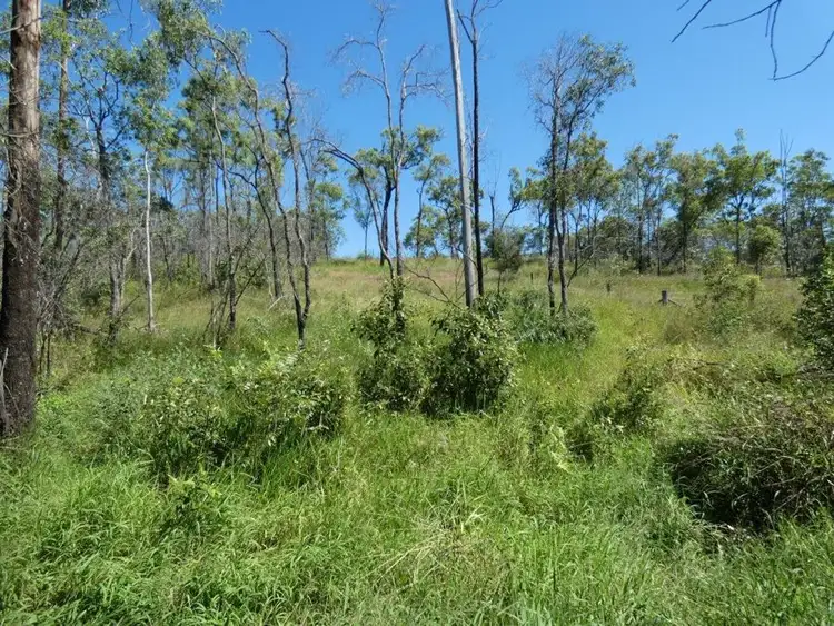 Fifth view of Homely rural property listing, 3509 Lowmead Road, Lowmead QLD 4676