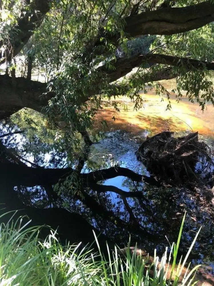 Sixth view of Homely rural property listing, 3509 Lowmead Road, Lowmead QLD 4676