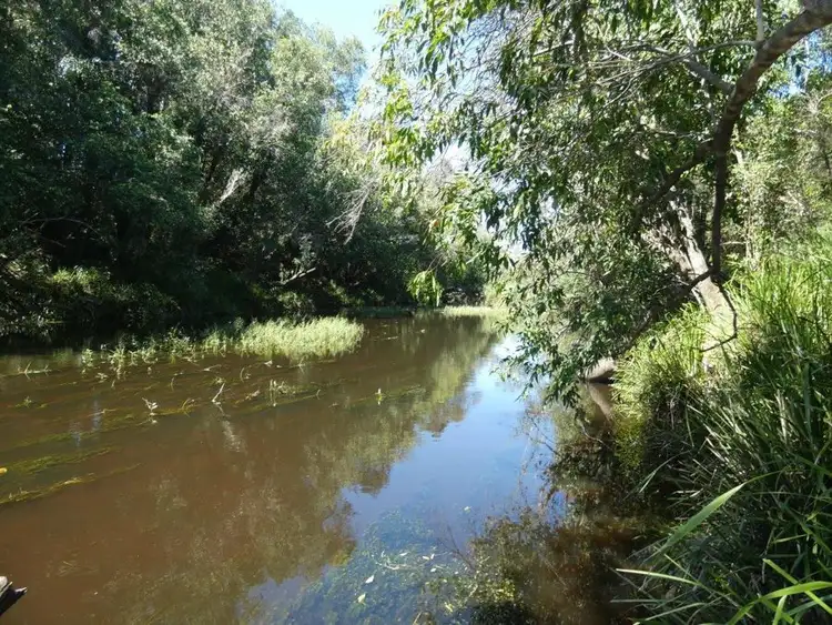 Seventh view of Homely rural property listing, 3509 Lowmead Road, Lowmead QLD 4676