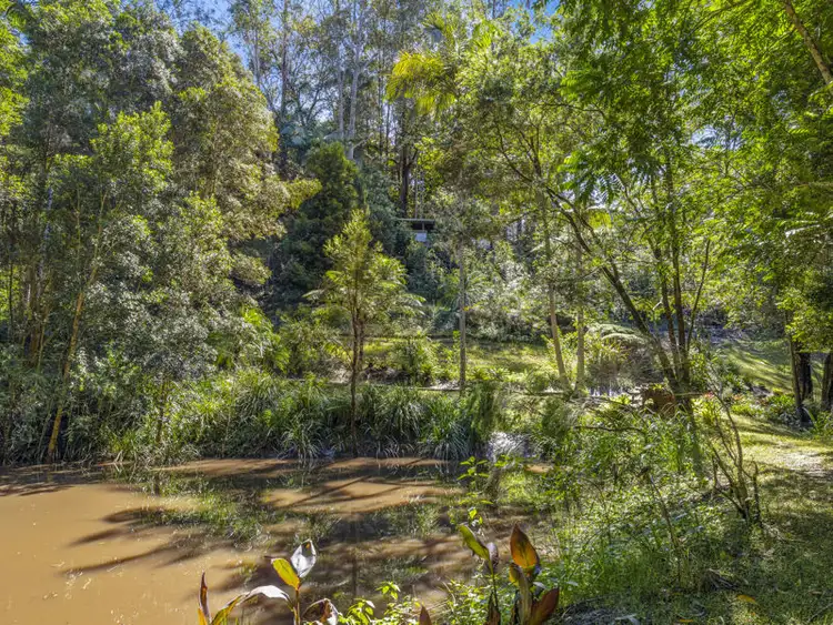 Fourth view of Homely rural property listing, 4 Evans Street, Bellingen NSW 2454