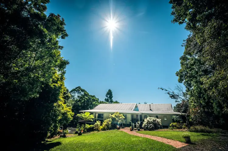 Main view of Homely rural property listing, 161 Mount Street, Bellingen NSW 2454