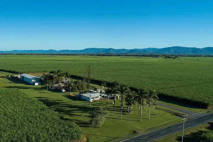 565 Homebush Road, Sandiford QLD 4740