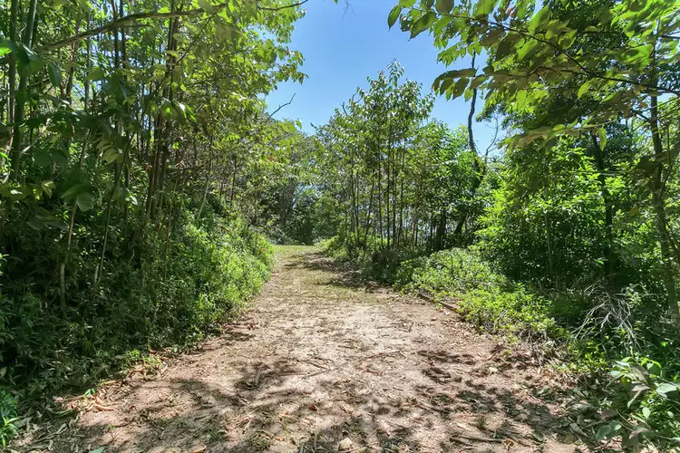 Third view of Homely land listing, 3 Trundle Terrace, Whitfield QLD 4870