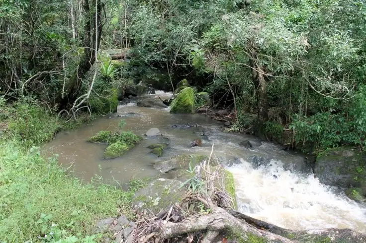 Fourth view of Homely rural property listing, 486 Horseshoe Creek Road - Upper Horseshoe Creek, Kyogle NSW 2474