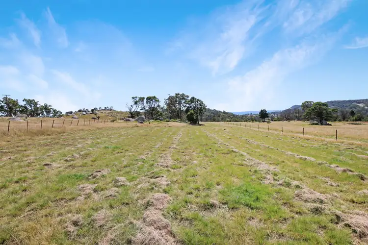 Fifth view of Homely rural property listing, 220 Kildare Road, Tenterfield NSW 2372