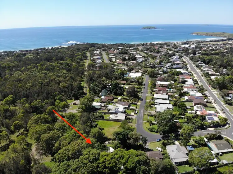 Main view of Homely house listing, 13 Pine Crescent, Sandy Beach NSW 2456