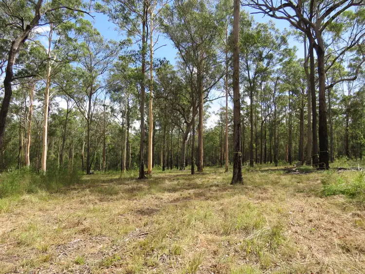 Main view of Homely rural property listing, Lot 2 of 14 Ravenswood Road, Kundabung NSW 2441