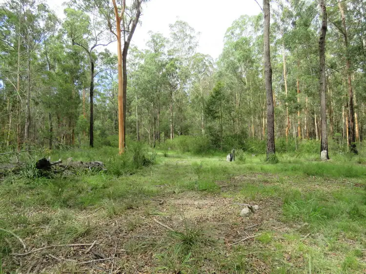 Fifth view of Homely rural property listing, Lot 2 of 14 Ravenswood Road, Kundabung NSW 2441