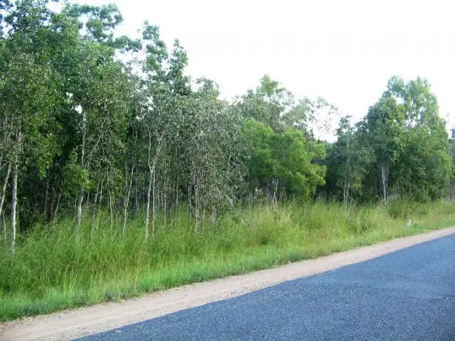 Main view of Homely land listing, 1353 MIDGE POINT ROAD MIDGE POINT, Whitsundays QLD 4802