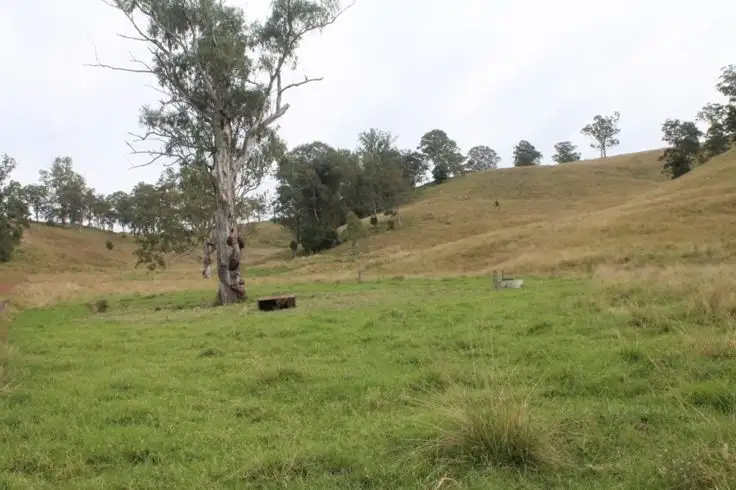 Fifth view of Homely rural property listing, Lot 433 Iron Pot Creek Road, Iron Pot Creek, Kyogle NSW 2474