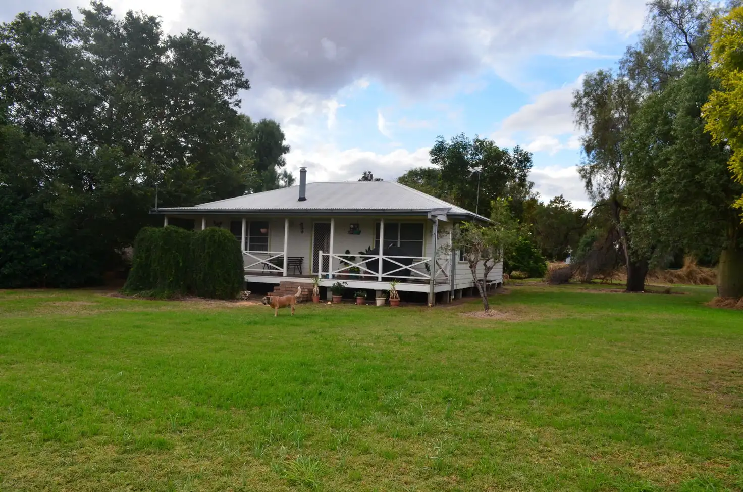 Main view of Homely house listing, 39 Bingera Street, Pallamallawa NSW 2399