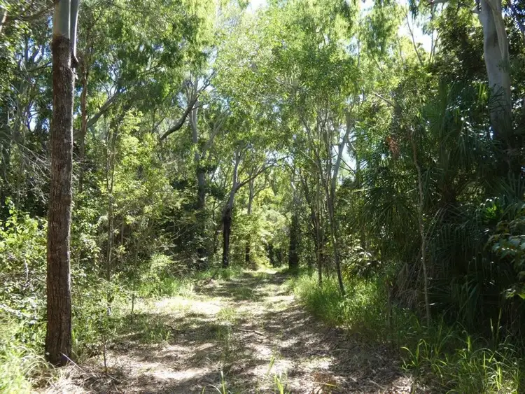 Third view of Homely rural property listing, 544 Fingerfield Road, Deepwater QLD 4674