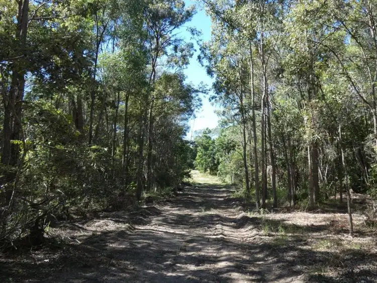 Fifth view of Homely rural property listing, 544 Fingerfield Road, Deepwater QLD 4674