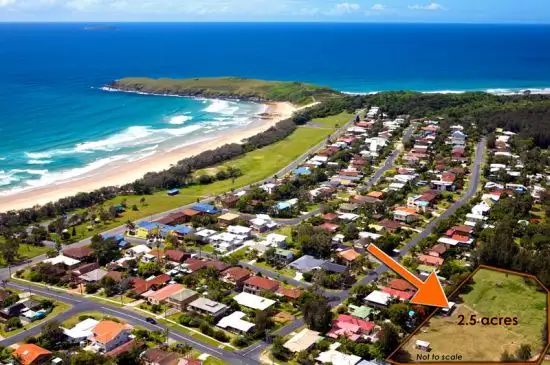 106 Diamond Head Drive, Sandy Beach NSW 2456