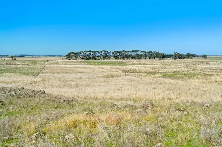Dundonnell-Derrinallum Road, Dundonnell VIC 3271