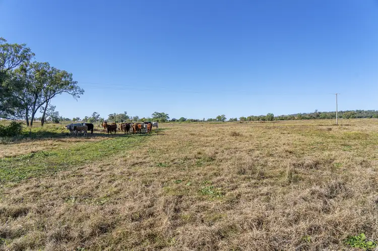 Seventh view of Homely land listing, Toowoomba-Cecil Plains Road, Aubigny QLD 4401