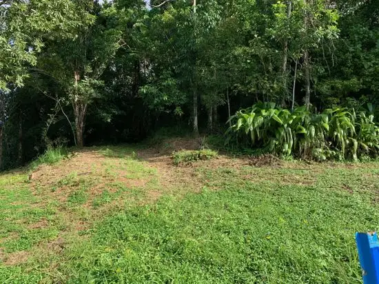 Fourth view of Homely land listing, 14 Jago Street, Babinda QLD 4861