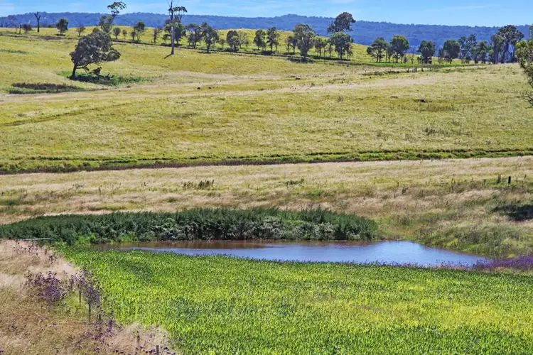 79 Bryans Gap Road, Tenterfield NSW 2372