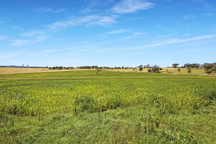 Fifth view of Homely land listing, 79 Bryans Gap Road, Tenterfield NSW 2372