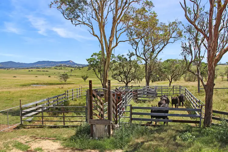 Third view of Homely rural property listing, 47 Bryans Gap Road, Tenterfield NSW 2372
