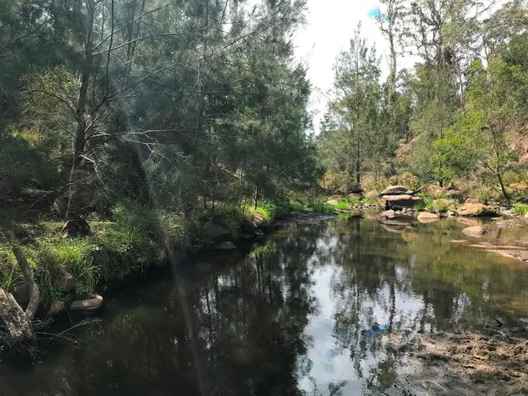 Fifth view of Homely rural property listing, 2 McQuillan Road, Ravensbourne QLD 4352