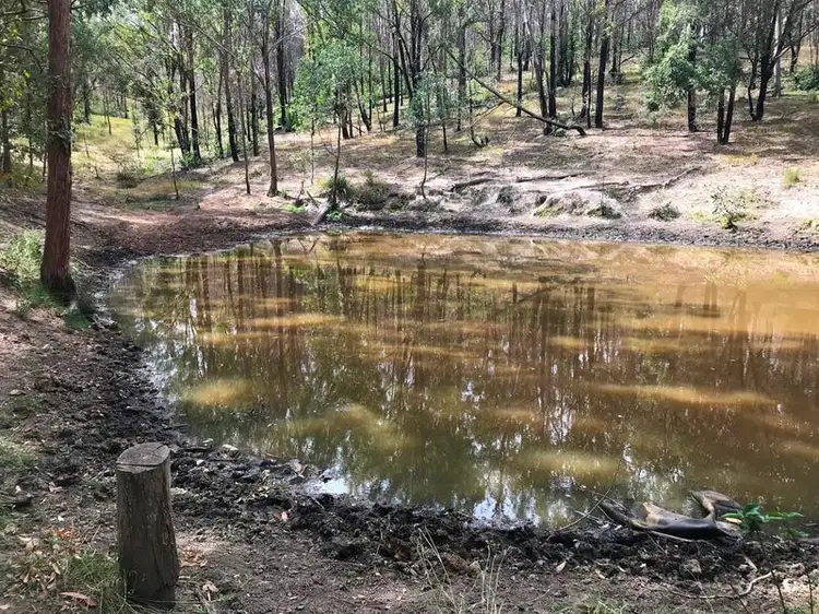 Seventh view of Homely rural property listing, 2 McQuillan Road, Ravensbourne QLD 4352