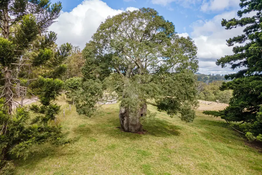 Main view of Homely land listing, 581 Ravensbourne Dip Road, Ravensbourne QLD 4352