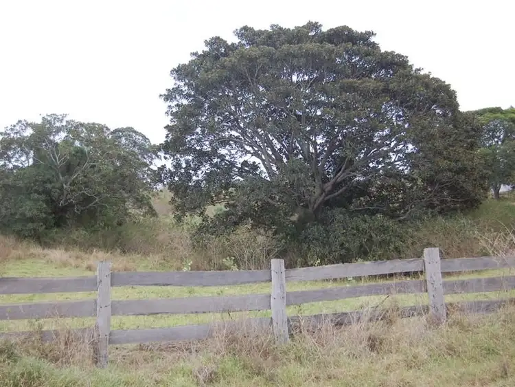 Fifth view of Homely rural property listing, 150 Vidoni Road, Neurum QLD 4514