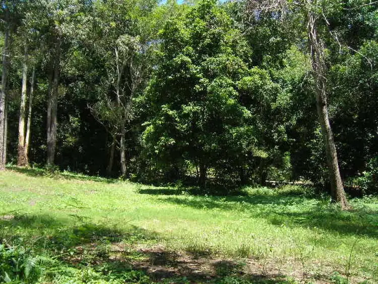 Fifth view of Homely rural property listing, Address available on request