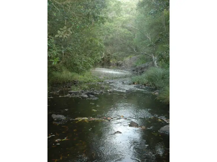 Second view of Homely rural property listing, 890 Delaneys Creek Road, Delaneys Creek QLD 4514