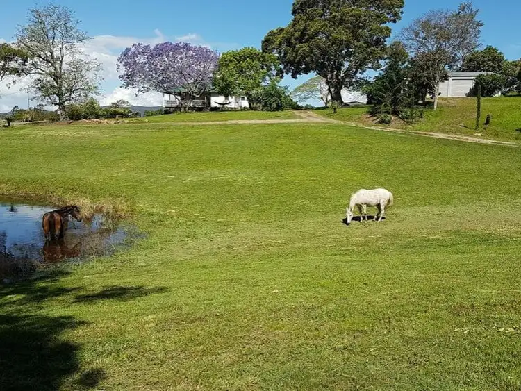 Third view of Homely house listing, 49 Myleema Road, Mount Archer QLD 4514