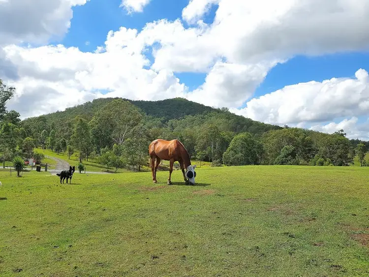 Seventh view of Homely house listing, 41 Park Drive, Sandy Creek QLD 4515