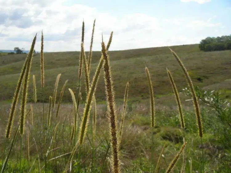 Third view of Homely rural property listing, Address available on request