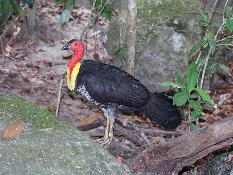 Third view of Homely land listing, Address available on request