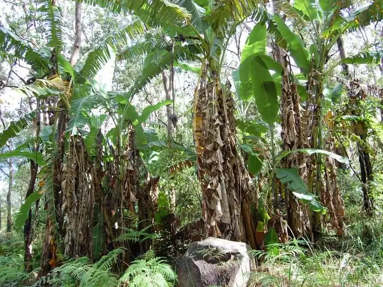 88 Cedarvale Road, Kilcoy QLD 4515