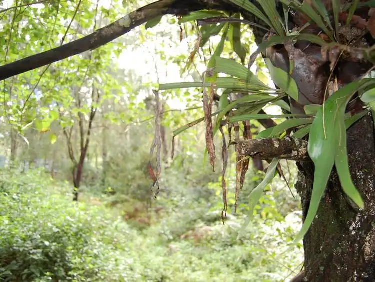 Sixth view of Homely land listing, 88 Cedarvale Road, Kilcoy QLD 4515