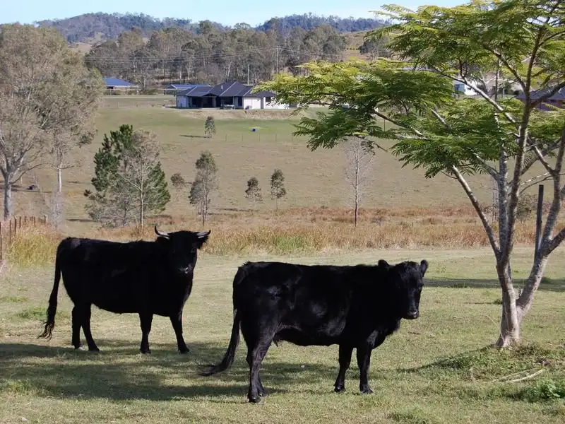 Main view of Homely land listing, 20 Shapland Drive, Royston QLD 4515