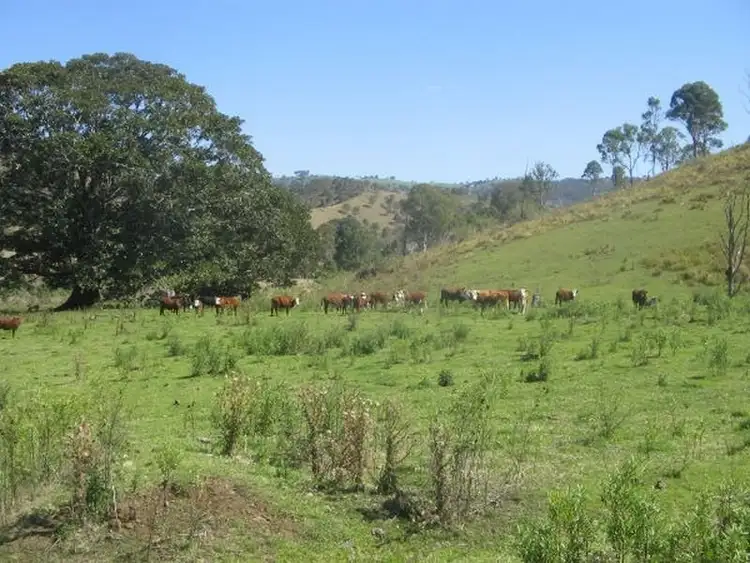 Seventh view of Homely land listing, 280 Delaney Creek Road, Delaneys Creek QLD 4514