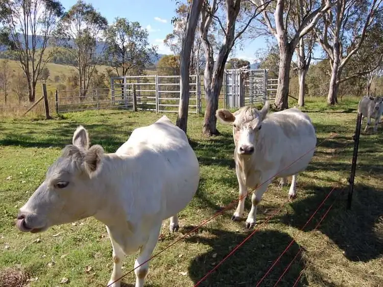Fifth view of Homely land listing, 4126 D'aguilar Highway, Woodford QLD 4514