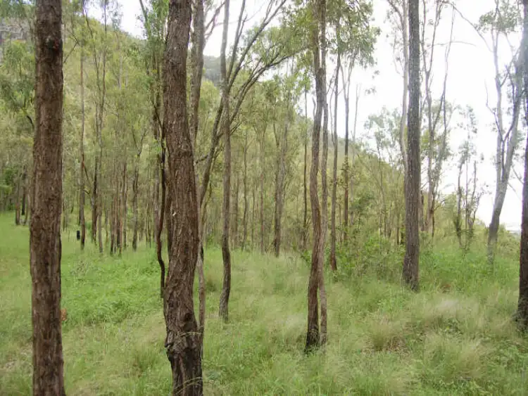 Sixth view of Homely land listing, 40 Glenmore Road, Woodford QLD 4514