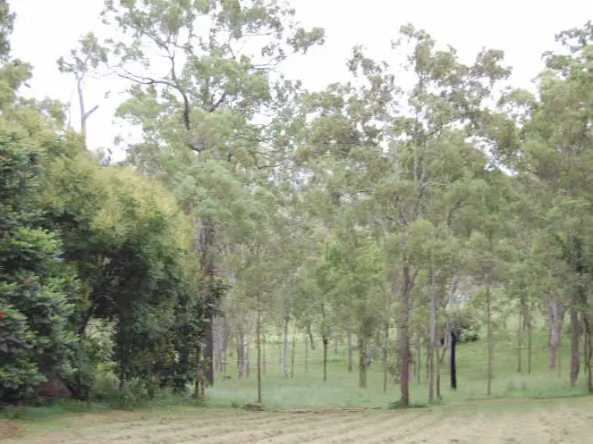 Third view of Homely land listing, 13 Carseldine Street, Kilcoy QLD 4515
