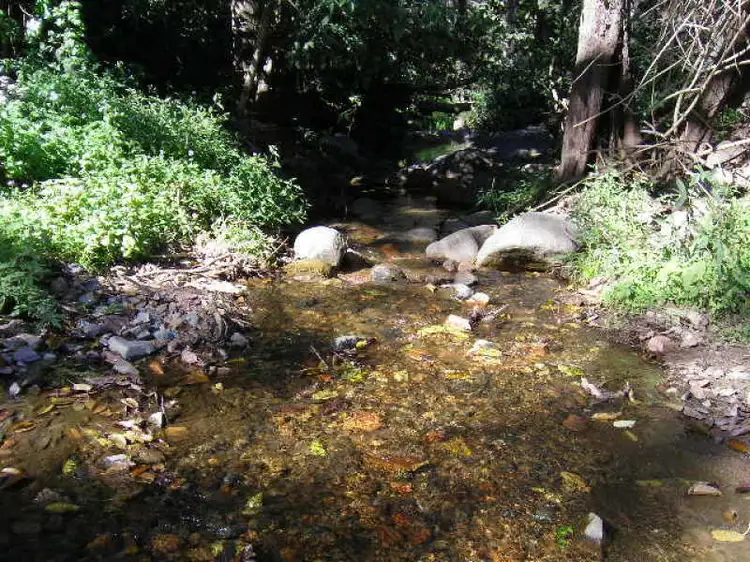 Address available on request