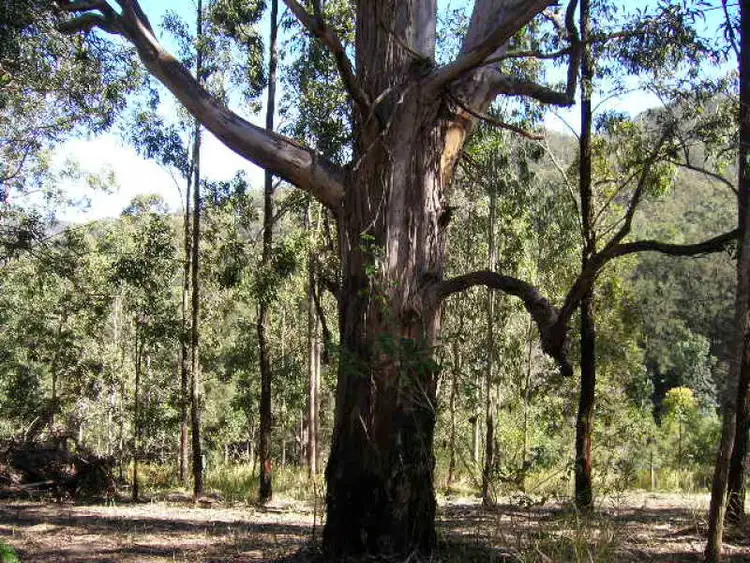 Sixth view of Homely land listing, Address available on request