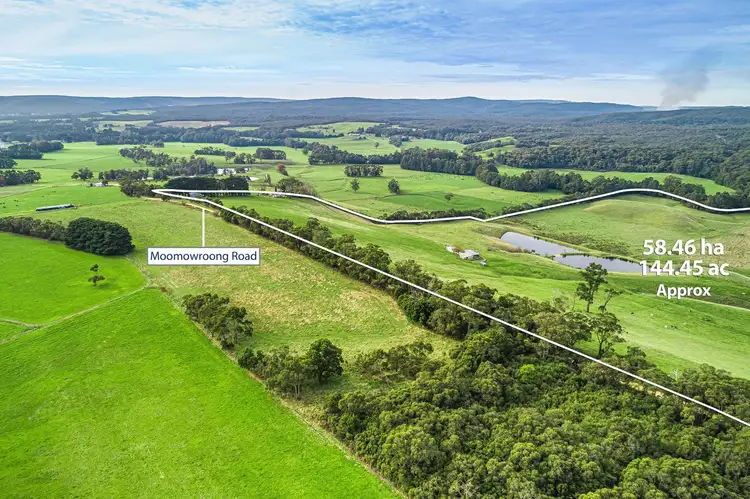 Main view of Homely rural property listing, Lots 1 & 2, 195 Moomowroong Road, Carlisle River VIC 3239