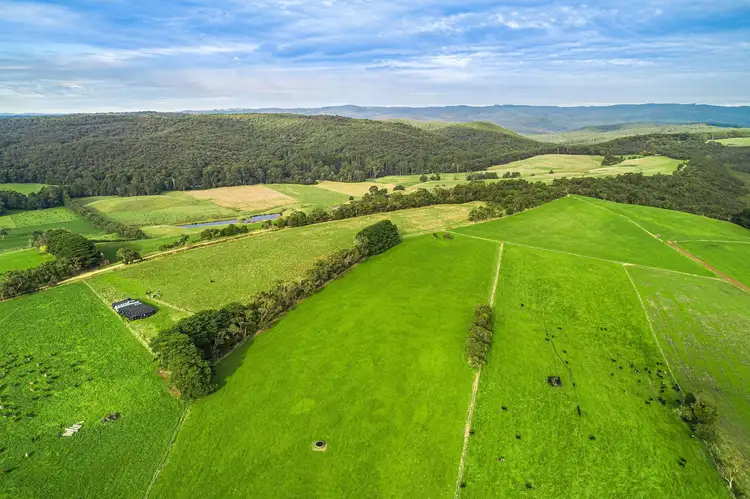 Second view of Homely rural property listing, Lots 1 & 2, 195 Moomowroong Road, Carlisle River VIC 3239