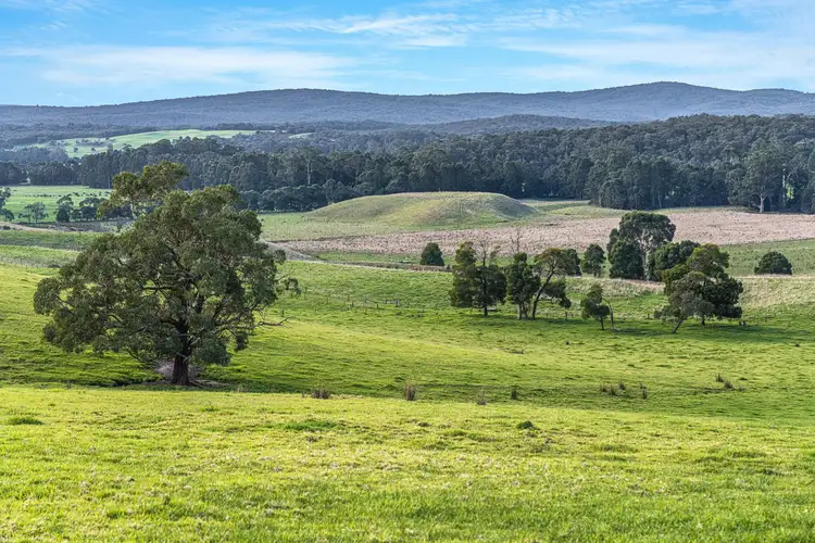 Third view of Homely rural property listing, Lots 1 & 2, 195 Moomowroong Road, Carlisle River VIC 3239