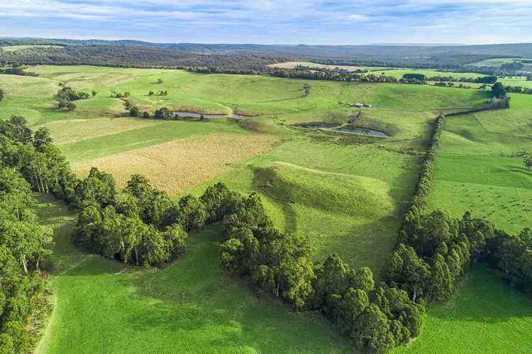 Fourth view of Homely rural property listing, Lots 1 & 2, 195 Moomowroong Road, Carlisle River VIC 3239